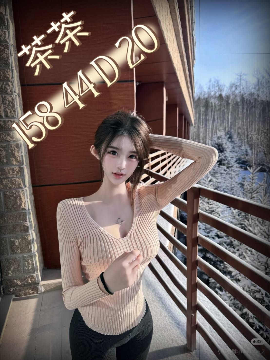 🇹🇼台中外約台妹 茶茶